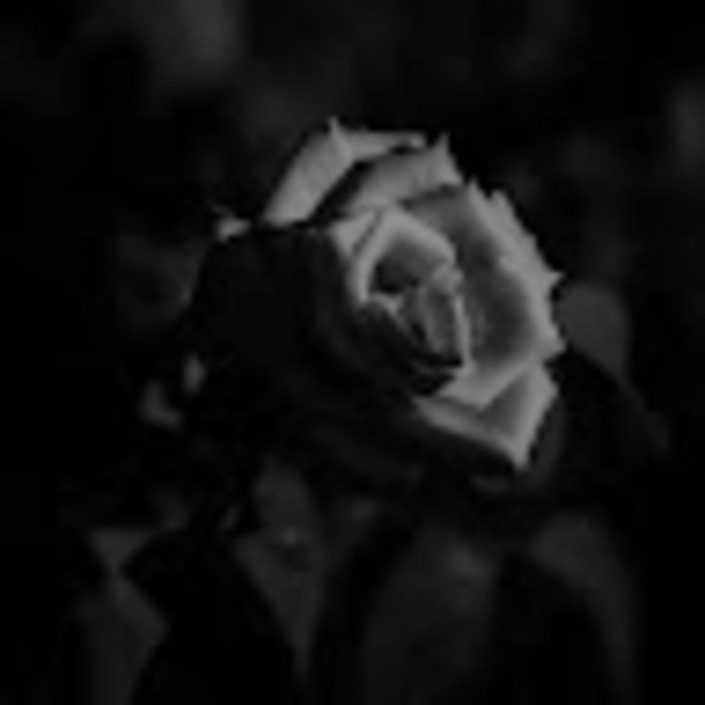 Meet your Posher, Autumn